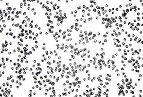 Light Black vector background with bubbles.