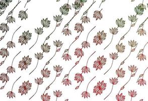 Light Green, Red vector sketch texture.