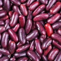 raw red kidney beans close up photo