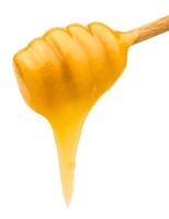 la miel amarilla fluye hacia abajo desde el primer plano del palo de madera foto