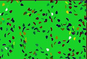 Light Multicolor, Rainbow vector backdrop with abstract shapes.
