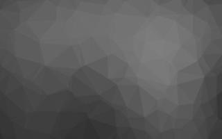 Light Silver, Gray vector low poly layout.