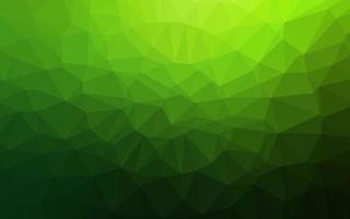 Light Green vector shining triangular background.