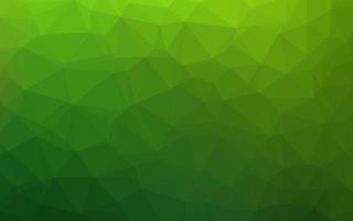 Light Green vector polygon abstract layout.