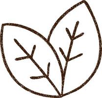 Leaf Charcoal Drawing vector