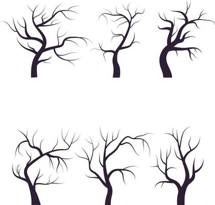 dry woods set