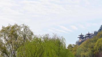 view of temples in green garden photo