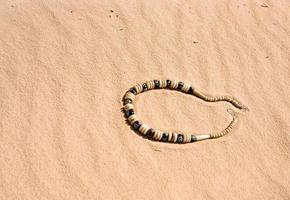 beads on yellow sand dune in desert photo