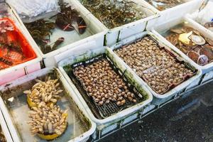 calms and lobsters in fish market in Guangzhou photo