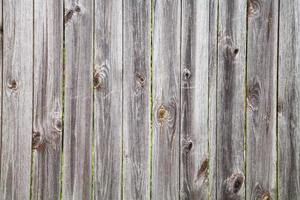 fence from old wooden planks photo