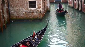 en gondol rida i Venedig, Italien video