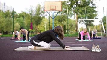 Yogalehrer und Yoginis machen Posen im Freien video