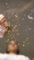 Vertical footage of a girl cook sprinkling grains video