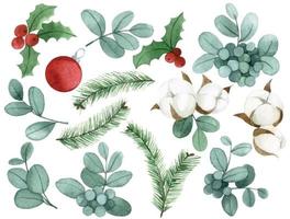 dibujo de acuarela. conjunto de hojas de navidad. hojas de eucalipto, acebo, flores de algodón, ramas de abeto. colección vintage para año nuevo, navidad vector