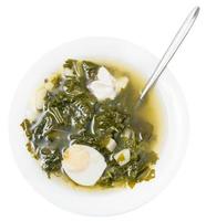 top view of soup in plate with spoon from greens photo