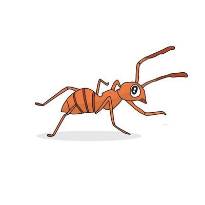 Red ant cartoon vector. Hand drawn realistic ant on white background. Alphabet A learning picture. for children alphabet learning book