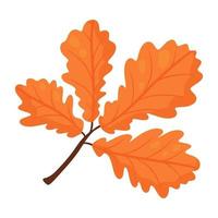 Oak leaf. Autumn design element. Vector illustration, cartoon style