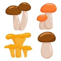 Mushroom set. Element of autumn design, leaves, acorns. Vector illustration in cartoon style, isolated white background