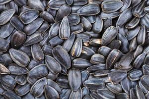 many black roasted sunflower seeds photo