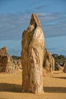 parque de los pináculos en el oeste de australia foto