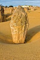 pinnacles park desert view in west australia photo