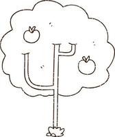 Apple Tree Charcoal Drawing vector