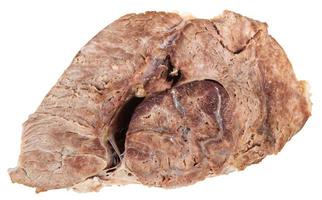 piece of boiled meat isolated on whit photo