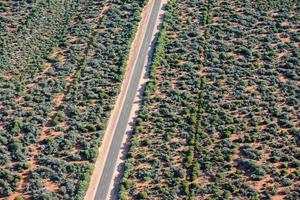 Aerial view of West Australia Desert endless road photo