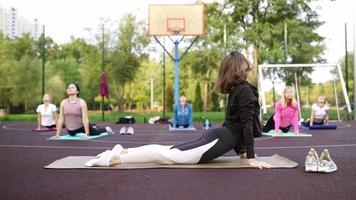 Yogalehrer und Yoginis machen Posen im Freien video