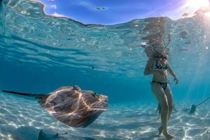 diver and sting ray in french polynesia photo