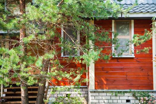 pino en frente de la pequeña casa de campo foto