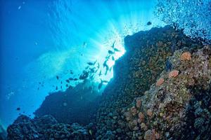 buceo en coloridos arrecifes submarinos en méxico mar de cortez cabo pulmo san lucas foto