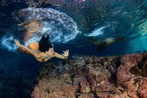 sirena nadando bajo el agua en el mar azul profundo con una foca foto