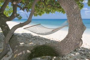 An hammock in tropical paradise turquoise water sand beach photo