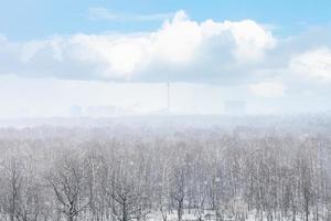 snow blizzard over city and woods in spring photo