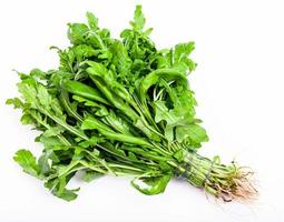 bunch of fresh cut green salad rocket herb photo