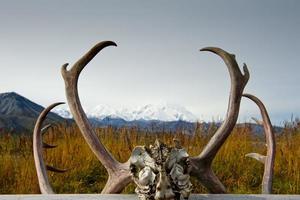 Alaska Denali Park Mc Kinley frame photo