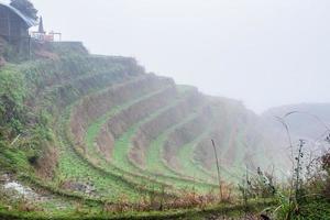 mist on rice terraced fieilds photo