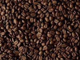 Vector realistic illustration of coffee beans. Premium quality cuban coffee background.