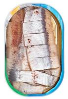 tinned pickled herring in brine isolated photo