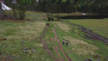 skön antenn se av sjö konigssee video