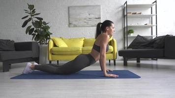 Young Woman Doing a Work Out Session At Home video