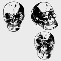 una colección de ilustraciones de calaveras con varios modelos vector