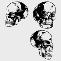 skull hand drawn set with various poses vector