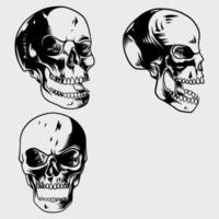 conjunto de detalles de cabeza de calavera con varias formas vector