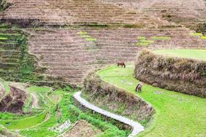 view of terraced slope near Dazhai village photo