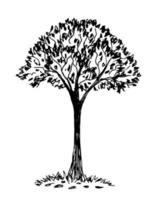 Hand-drawn vector illustration with black outline in engraving style. Nature, landscape. Deciduous tree, grass, leaves isolated on a white background. The element of the forest.