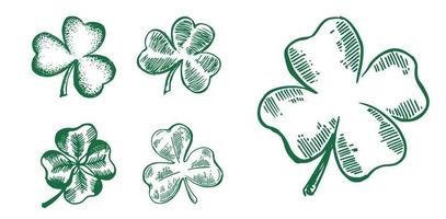 Clover set, hand drawn illustration. Patrick day. vector