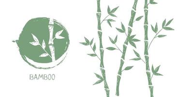 Bamboo tree. Hand drawn style. Vector illustrations.