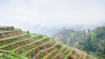 vista superior de las plantaciones de arroz en terrazas en las colinas foto